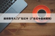 麻将教学入门广东红中（广东红中麻将规则）