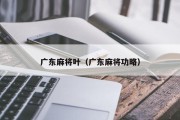 广东麻将叶（广东麻将功略）