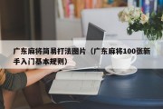 广东麻将简易打法图片（广东麻将100张新手入门基本规则）