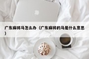 广东麻将马怎么办（广东麻将的马是什么意思）