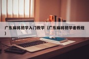广东麻将初学入门教学（广东麻将初学者教程）