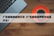 广东碰碰胡麻将打法（广东麻将碰牌那句话是什么）