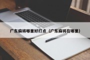 广东麻将哪里好打点（广东麻将在哪里）