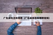 广东麻将怎样理牌（广东麻将怎样理牌视频）