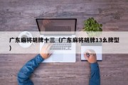 广东麻将胡牌十三（广东麻将胡牌13幺牌型）