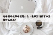 电子游戏机掌中宝是什么（电子游戏机掌中宝是什么意思）