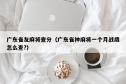 广东雀友麻将查分（广东雀神麻将一个月战绩怎么查?）