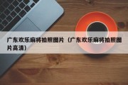 广东欢乐麻将拍照图片（广东欢乐麻将拍照图片高清）