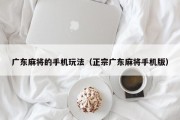 广东麻将的手机玩法（正宗广东麻将手机版）