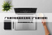 广东靓仔射击麻将兑换码（广东靓仔视频）