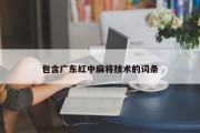 包含广东红中麻将技术的词条