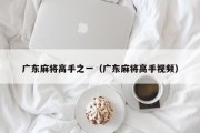 广东麻将高手之一（广东麻将高手视频）