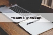 广东麻将别名（广东麻将名称）