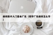 麻将新手入门基本广东（初学广东麻将怎么学）