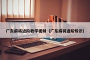 广东麻将进阶教学视频（广东麻将进阶知识）