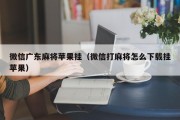 微信广东麻将苹果挂（微信打麻将怎么下载挂苹果）