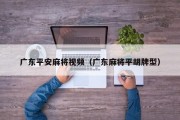 广东平安麻将视频（广东麻将平胡牌型）