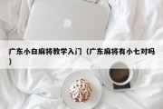 广东小白麻将教学入门（广东麻将有小七对吗）