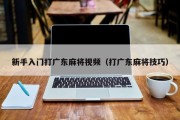 新手入门打广东麻将视频（打广东麻将技巧）