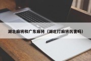 湖北麻将和广东麻将（湖北打麻将厉害吗）