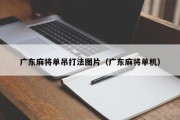 广东麻将单吊打法图片（广东麻将单机）