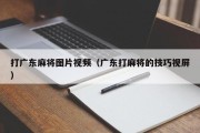 打广东麻将图片视频（广东打麻将的技巧视屏）