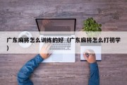 广东麻将怎么训练的好（广东麻将怎么打初学）