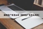 麻将在广东怎么叫（麻将在广东怎么叫的）