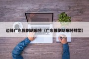 边锋广东推倒胡麻将（广东推倒胡麻将牌型）