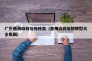 广东惠州麻将胡牌种类（惠州麻将胡牌牌型大全集图）