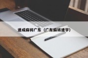 速成麻将广东（广东麻将速学）