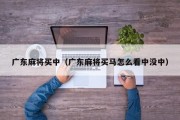 广东麻将买中（广东麻将买马怎么看中没中）