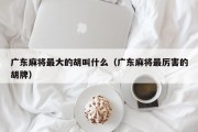 广东麻将最大的胡叫什么（广东麻将最厉害的胡牌）