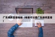 广东麻将直播板板（哪里可以看广东麻将直播）