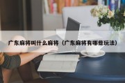 广东麻将叫什么麻将（广东麻将有哪些玩法）