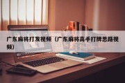广东麻将打发视频（广东麻将高手打牌思路视频）