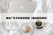 潮汕广东手机麻将视频（潮汕麻将源码）