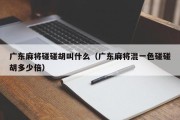 广东麻将碰碰胡叫什么（广东麻将混一色碰碰胡多少倍）