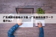 广东麻将白板赖子下载（广东麻将白板下一个是什么）