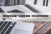微乐麻将直播广东回放视频（微乐麻将有回放吗）